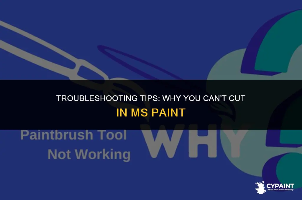 why can i not cut on ms paint