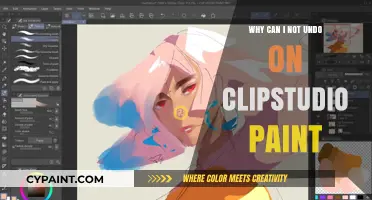 Troubleshooting Clip Studio Paint: Why Can't I Undo?