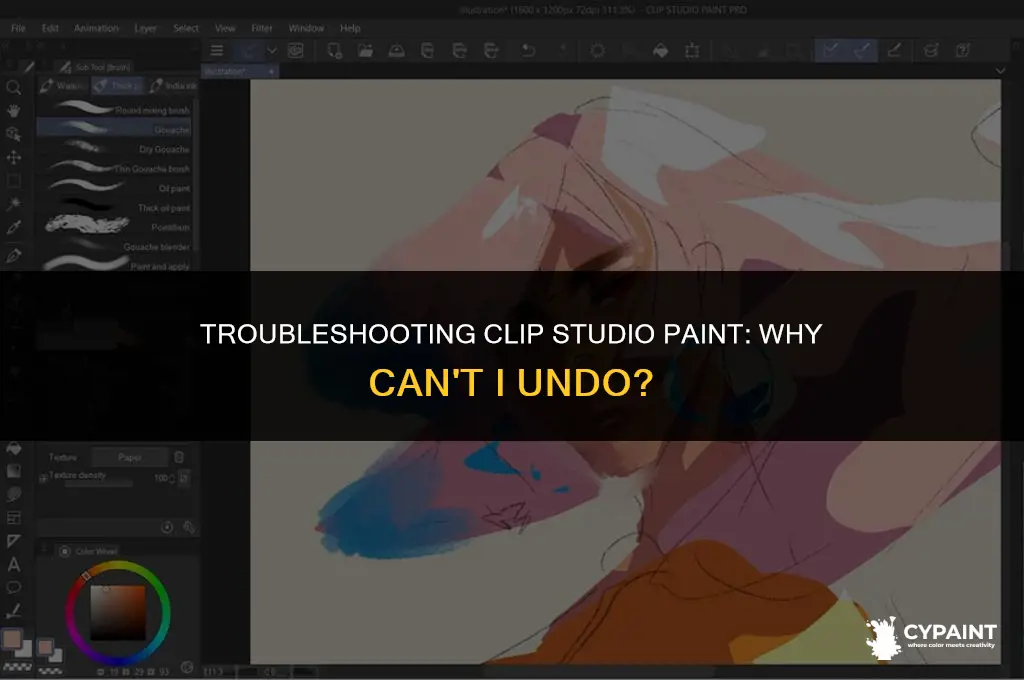 why can i not undo on clipstudio paint