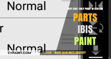 Unleashing Creativity: Overcoming Limitations in Ibis Paint