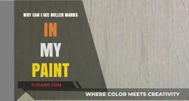 Roller Marks in Paint: Causes, Prevention, and Quick Fixes Explained