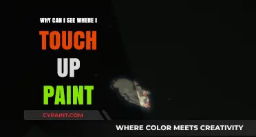 Why Touch-Up Paint Stands Out: Causes and Solutions for Visible Repairs