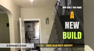 Unveiling the Mystery: Why New Builds Resist a Fresh Coat of Paint