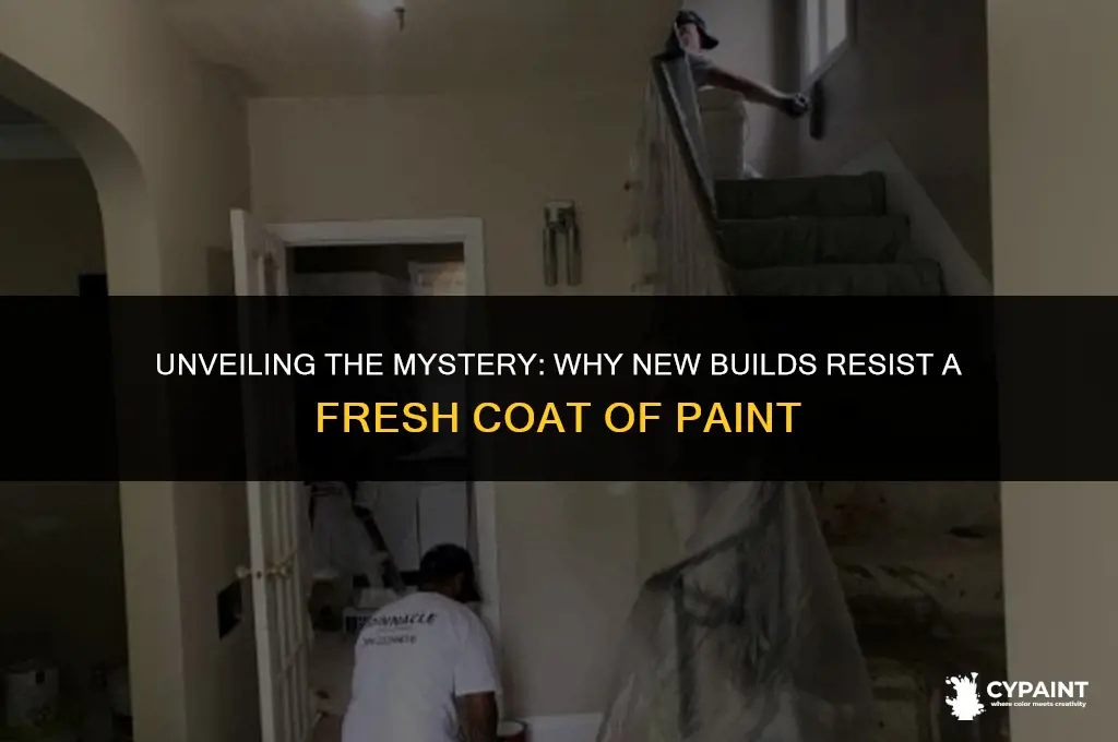 why can t you paint a new build