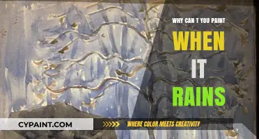 Rainy Day Blues: Unraveling the Mystery of Why You Can't Paint When It Rains