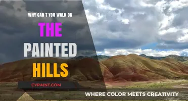 Exploring the Painted Hills: Why Walking on Them is Prohibited