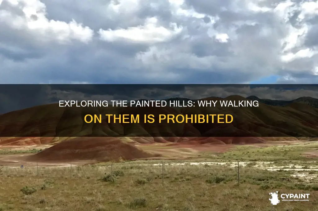 why can t you walk on the painted hills