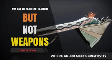 Exotic Armor Customization: Why Paint Armor but Not Weapons?