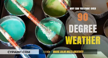 Sunny Skies and Fresh Coats: Painting in 90+ Degree Weather
