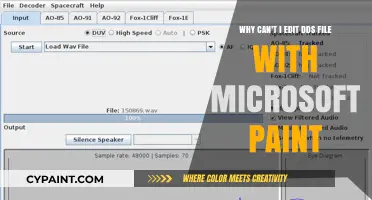 Decoding DDS Files: Why Microsoft Paint Isn't Your Best Bet