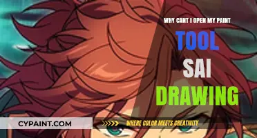 Troubleshooting Paint Tool SAI: Why Can't I Open My Drawing?