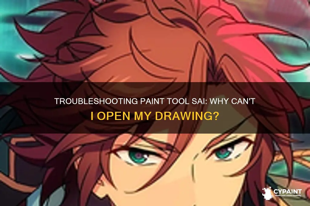 why cant i open my paint tool sai drawing