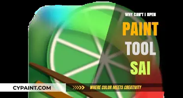 Troubleshooting Paint Tool SAI: Common Issues and Solutions