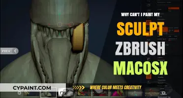 Troubleshooting ZBrush on macOS: Why Can't I Paint My Sculpt?