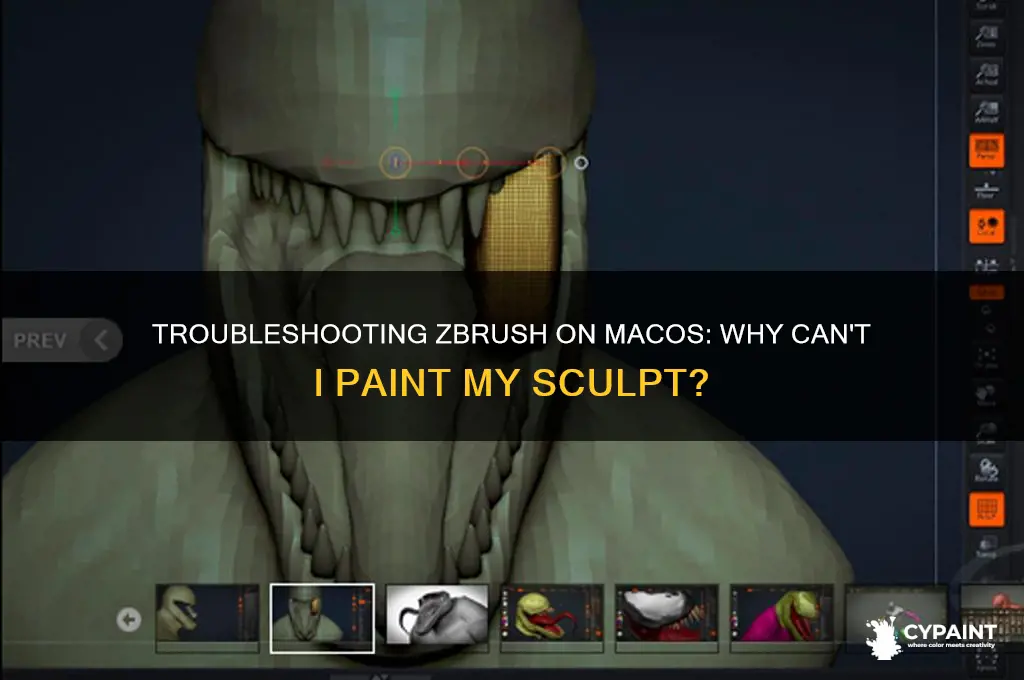 why can