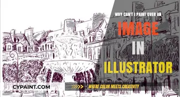 Troubleshooting Illustrator: How to Paint Over an Image