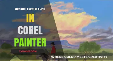 Troubleshooting Corel Painter: Saving Issues and JPEG Alternatives