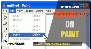 Troubleshooting Paint: Why Can't I Save My Screenshot?