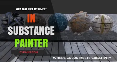 Troubleshooting Substance Painter: Why Your Object Isn't Visible