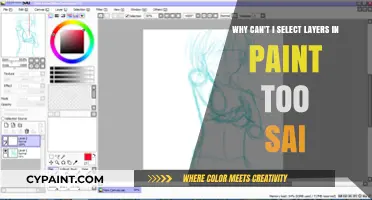 Troubleshooting Layer Selection Issues in Paint Tool SAI