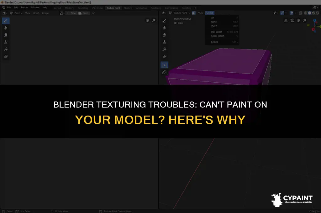 why cant i texture paint on my model in blender