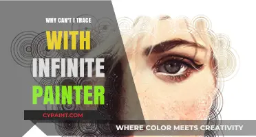 Unraveling the Mystery: Tracing Limitations in Infinite Painter