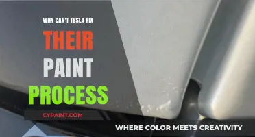 Decoding Tesla's Paint Process Predicament: Quality Control Quandaries