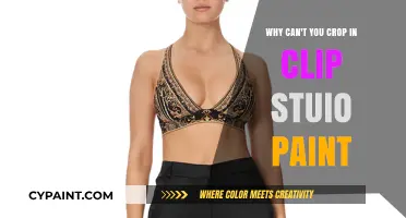 Why Clip Studio Paint's Crop Tool Isn't Working for You
