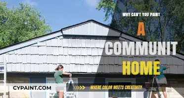 Brushstrokes of Bureaucracy: The Art of Community Home Painting
