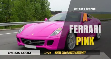 Why Pink Isn't an Option for Your Ferrari: A Paint Job Dilemma