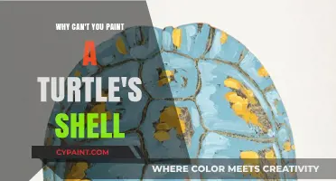 Painting a Turtle's Shell: Ethical Concerns and Practical Challenges Explained