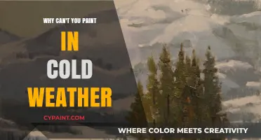Chilly Challenges: Understanding the Impact of Cold Weather on Painting