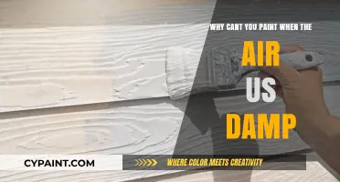 Damp Air and Painting: Why Moisture Ruins Your Artistic Efforts