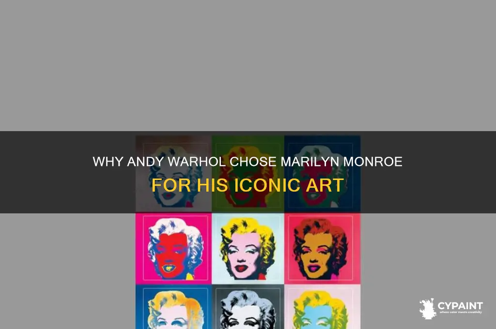 why did andy warhol pick marilyn monroe to paint