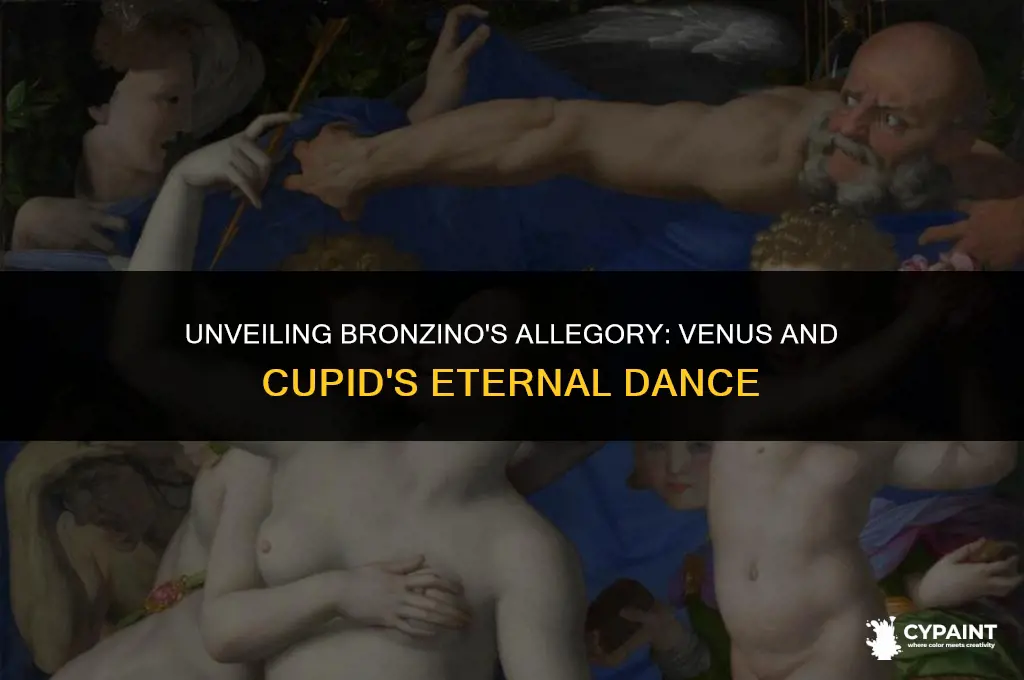 why did bronzino paint an allegory of venus and cupid