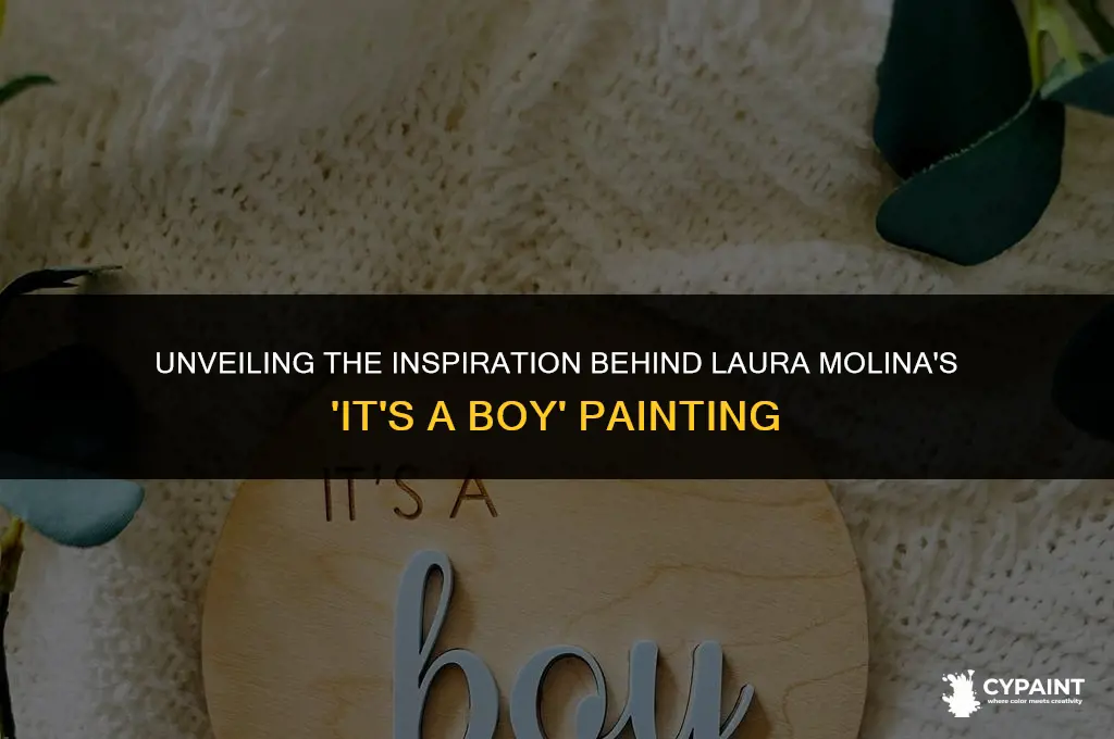 why did laura molina create her painting its a boy