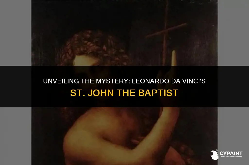 why did leonardo da vinci paint st john the baptist