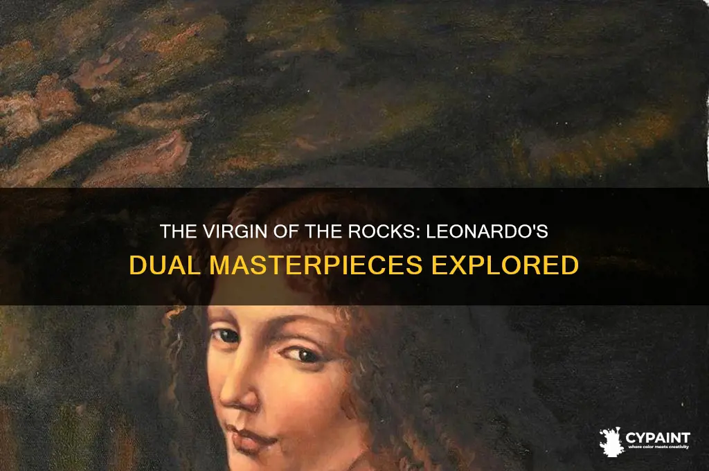 why did leonardo paint twothe virgin of the rocks