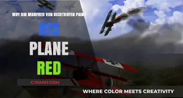 The Red Baron's Bold Choice: Why Manfred von Richthofen Painted His Plane Red