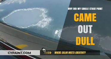 Why Single Stage Paint Looks Dull: Common Causes and Solutions