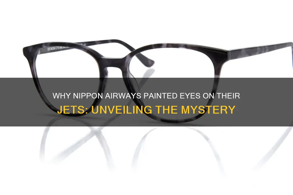 why did nippon airways paint eyes on their jets