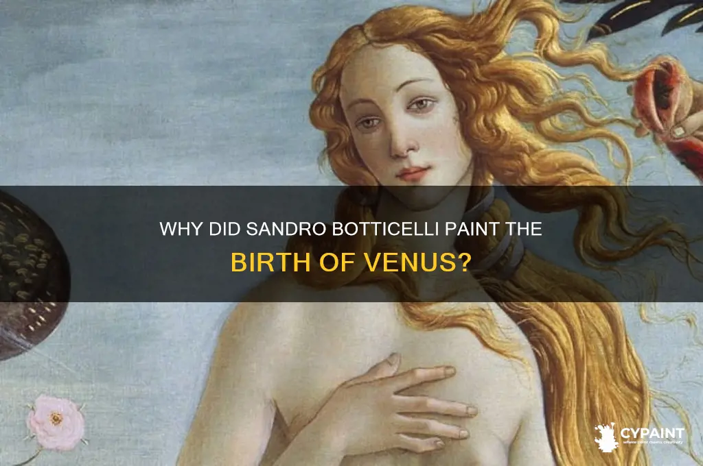 why did sandro botticelli paint the birth of venus