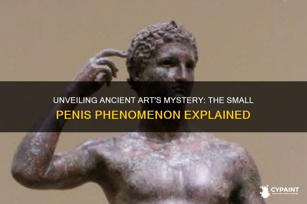 why did sculptures and paintings always have small penises