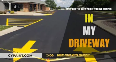 Why Yellow Stripes? Understanding the City's Driveway Marking Initiative