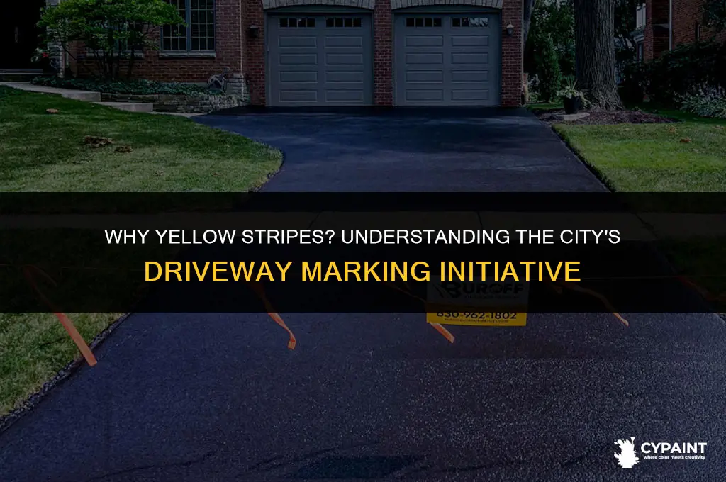 why did the city paint yellow stripes in my driveway