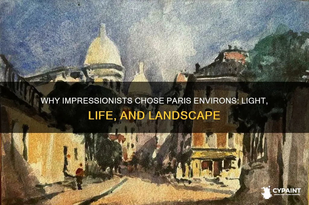 why did the impressionists paint the environs of paris