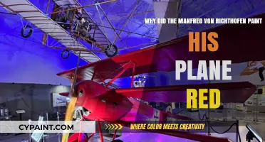 The Red Baron's Legacy: Why Manfred von Richthofen Chose Scarlet Skies
