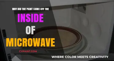 Microwave Mishap: The Mystery of the Missing Paint