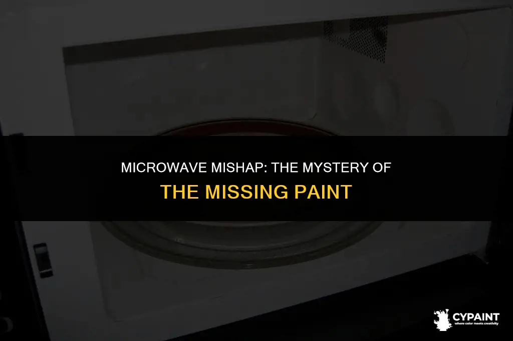 why did the paint come off the inside of microwave