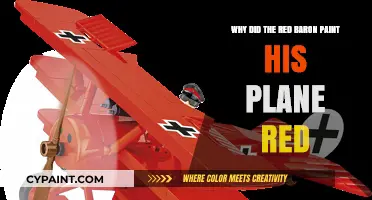 Why the Red Baron's Iconic Red Plane Defined Aerial Warfare